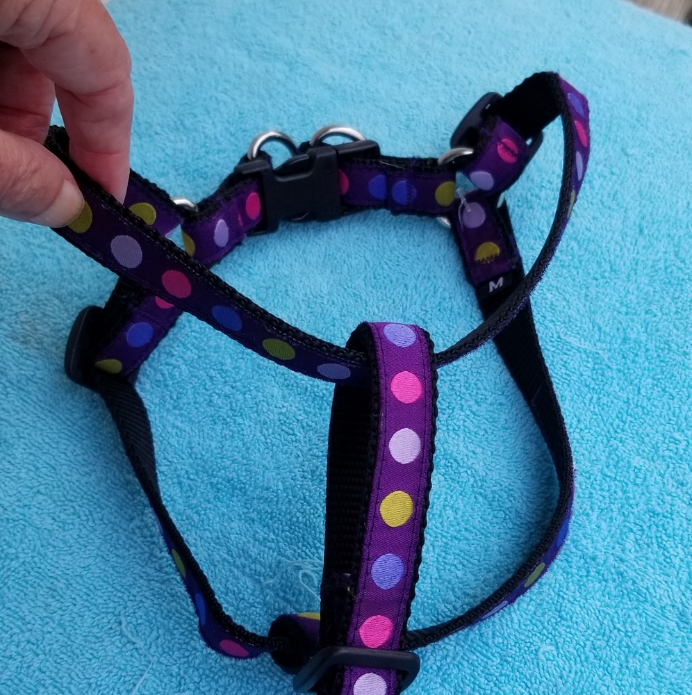 Bella Bean dog harness MED